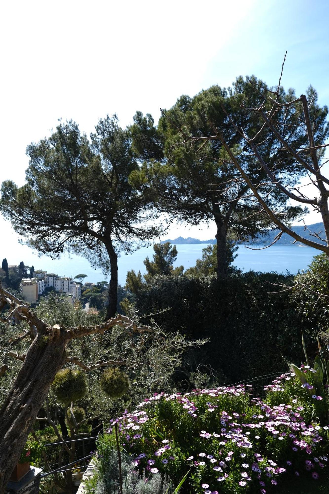 زواليي L'Alcova Tra Gli Ulivi By Portofinovacanze المظهر الخارجي الصورة
