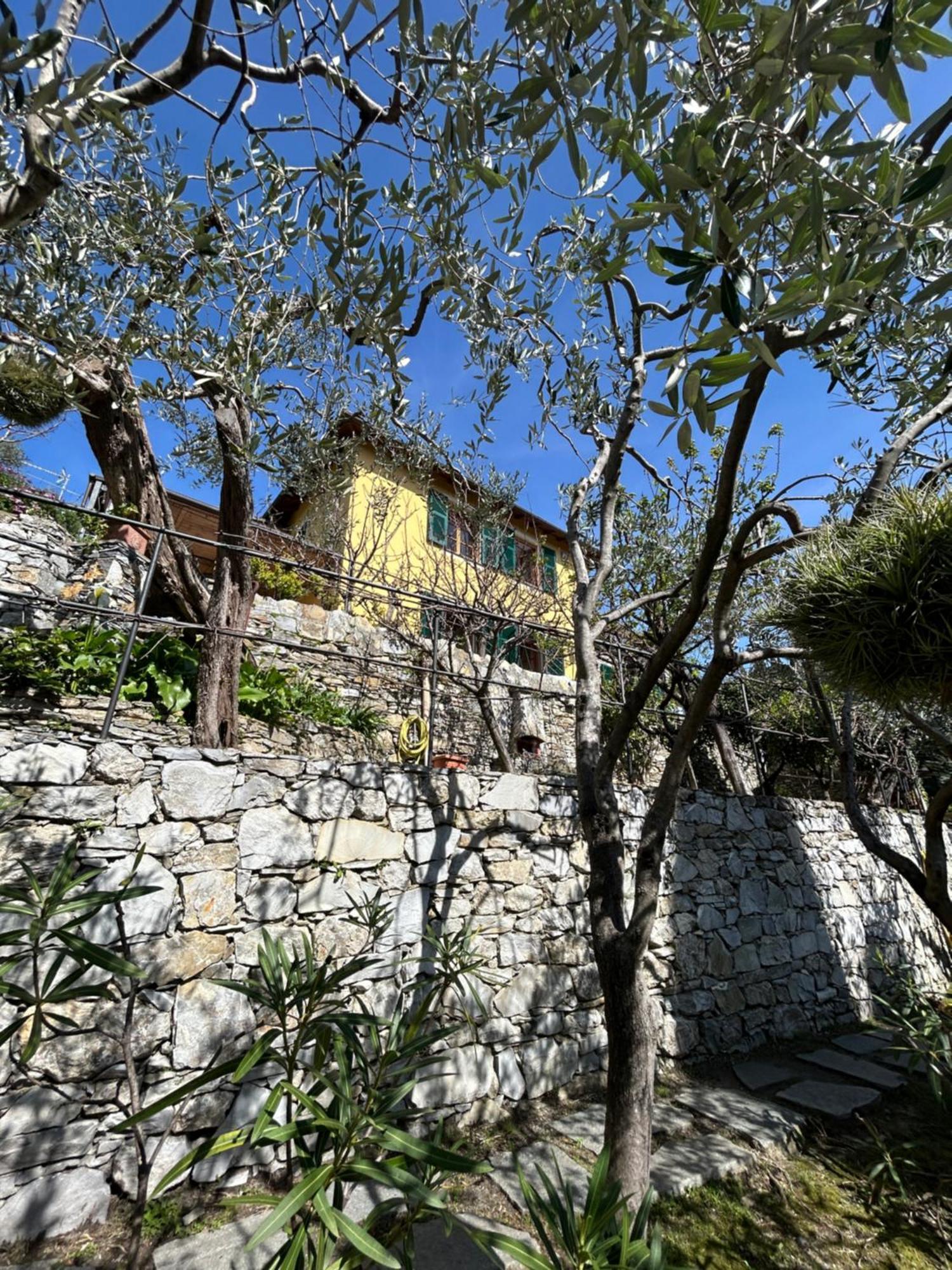 زواليي L'Alcova Tra Gli Ulivi By Portofinovacanze المظهر الخارجي الصورة